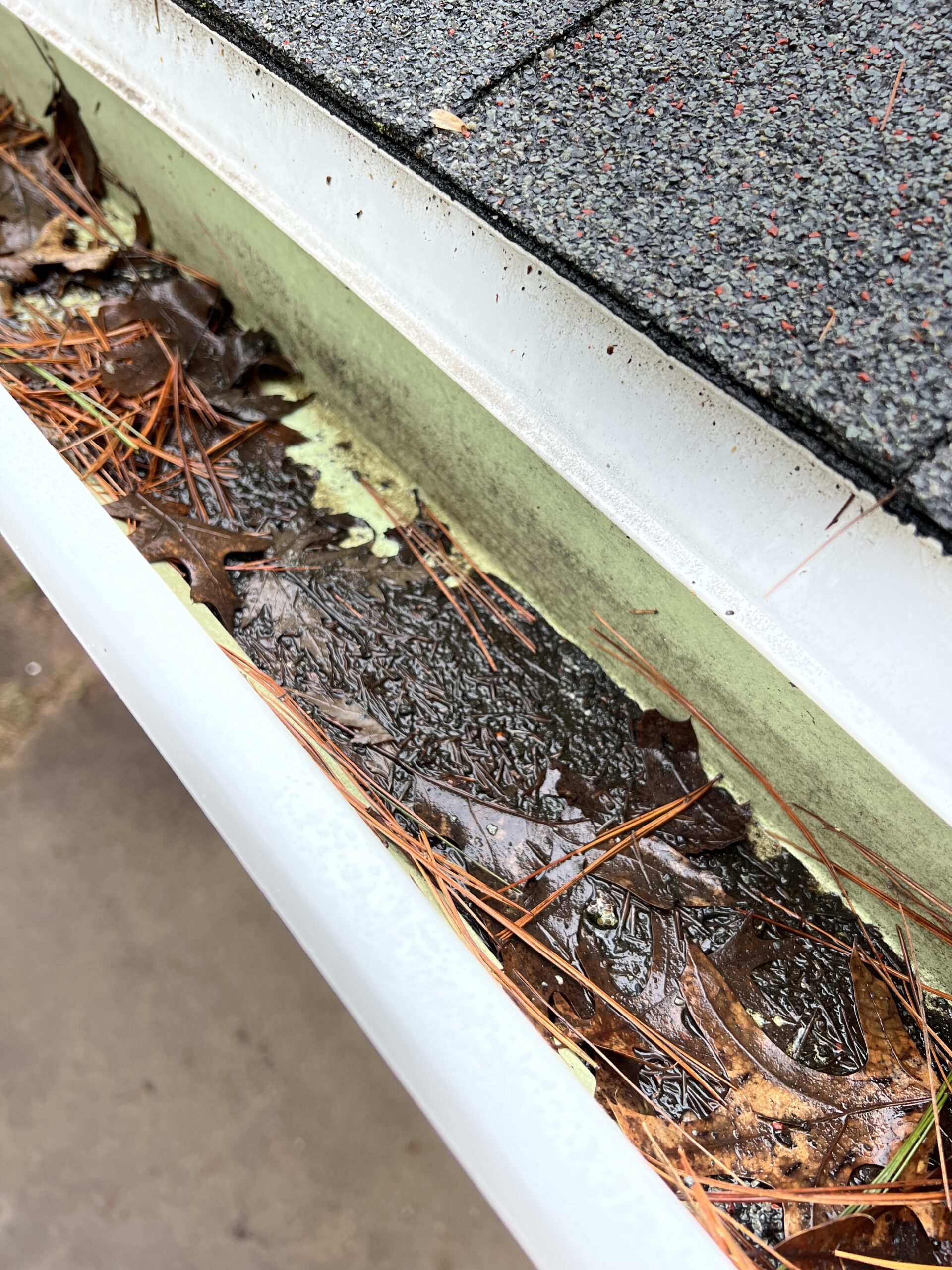 Gutters - Close Up - Filled with leaves