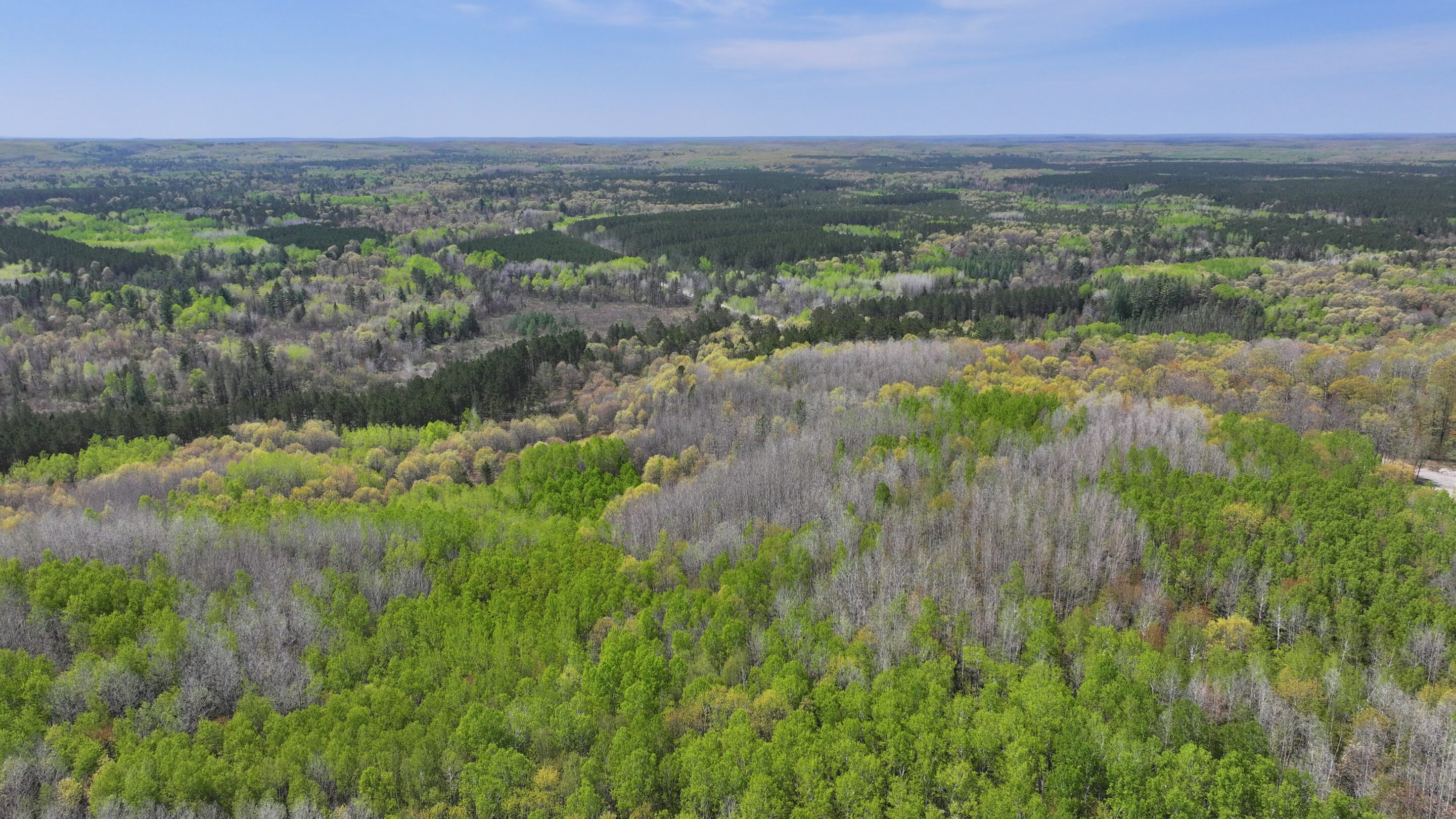 amberg roof replacement forest